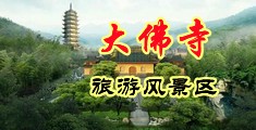 鸡骚操影院中国浙江-新昌大佛寺旅游风景区